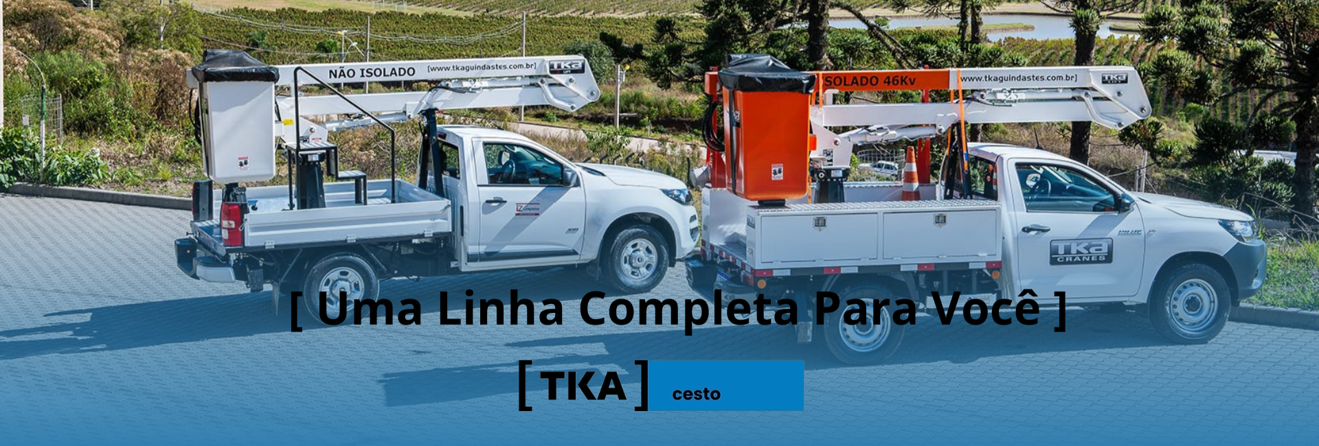 Linha%20cesto